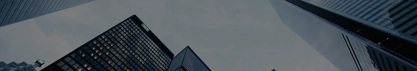 Pyramind Institute Banner