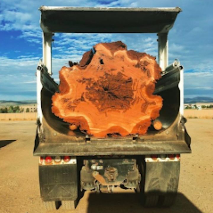 Jeremiah's Tree Service business image in Reno, nevada