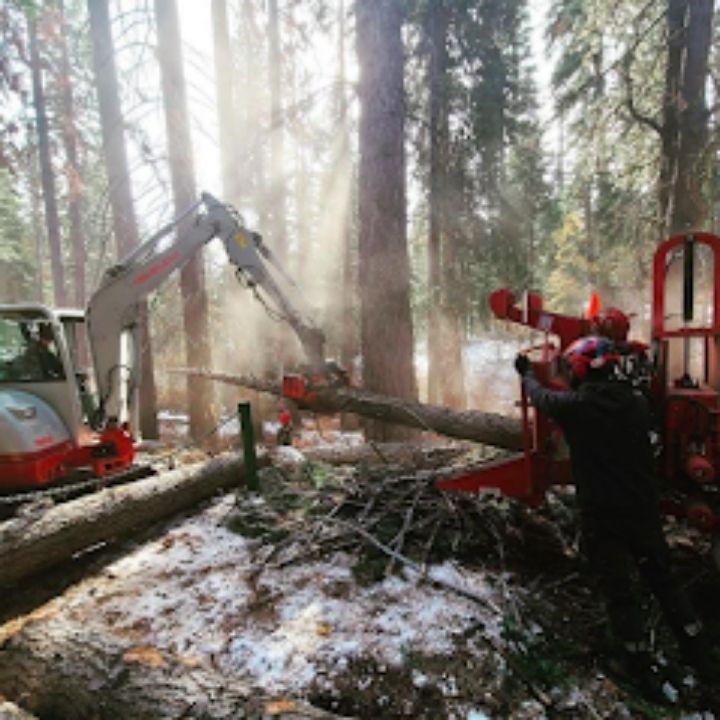 Jeremiah's Tree Service business image in Reno, nevada