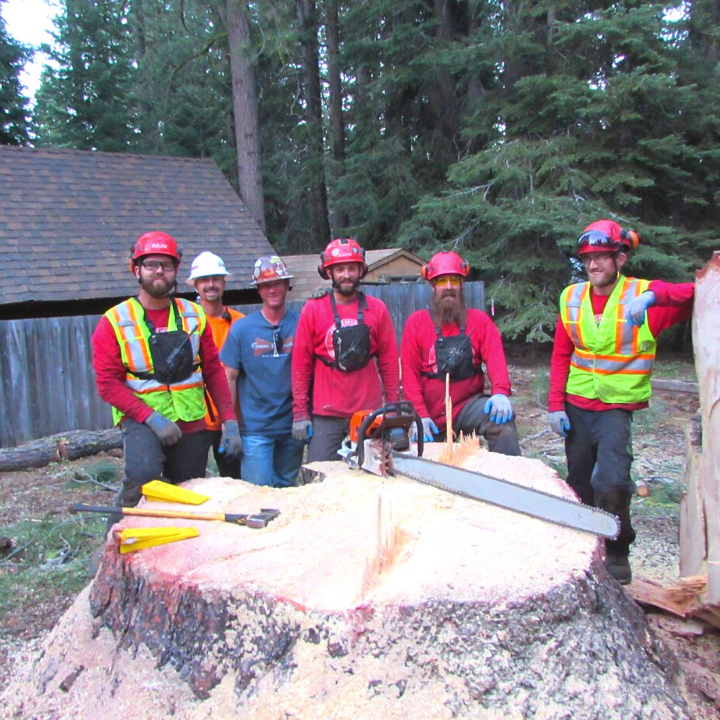 Jeremiah's Tree Service business image in Reno, nevada