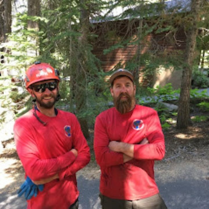 Jeremiah's Tree Service business image in Reno, nevada