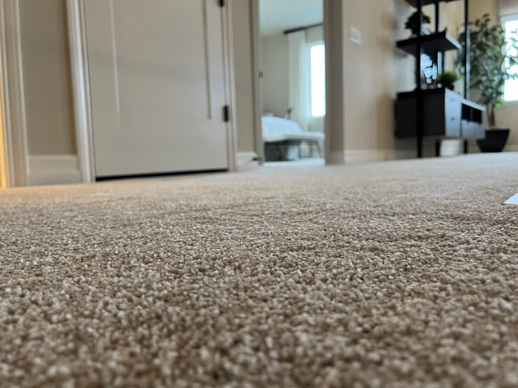 Arvada Flooring business image