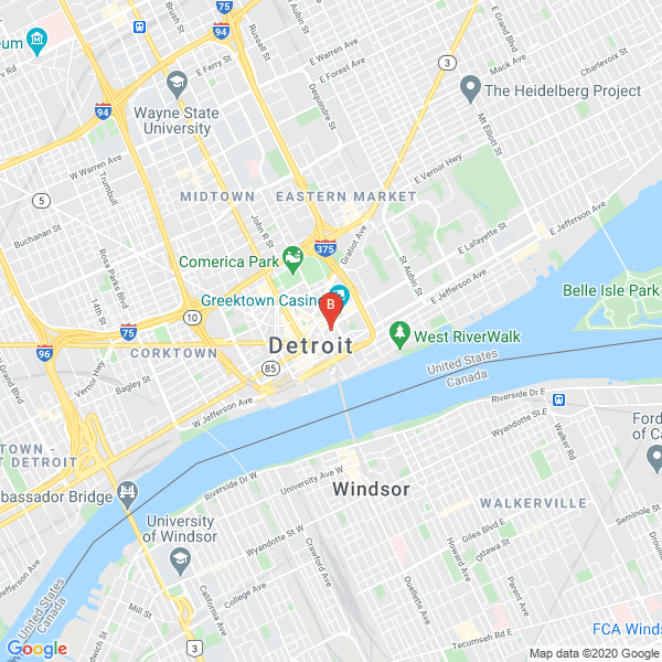 Detroit Orthodontic Specialists business listing