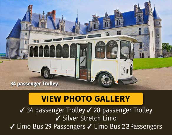 Absolute Dream Limousines business image in Oak Forest, Illinois