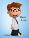 Hayes Local Marketing business image in Bridgeview, Il.