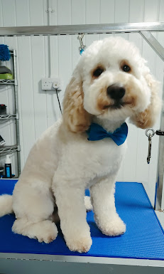 Wagz Dog Grooming business image