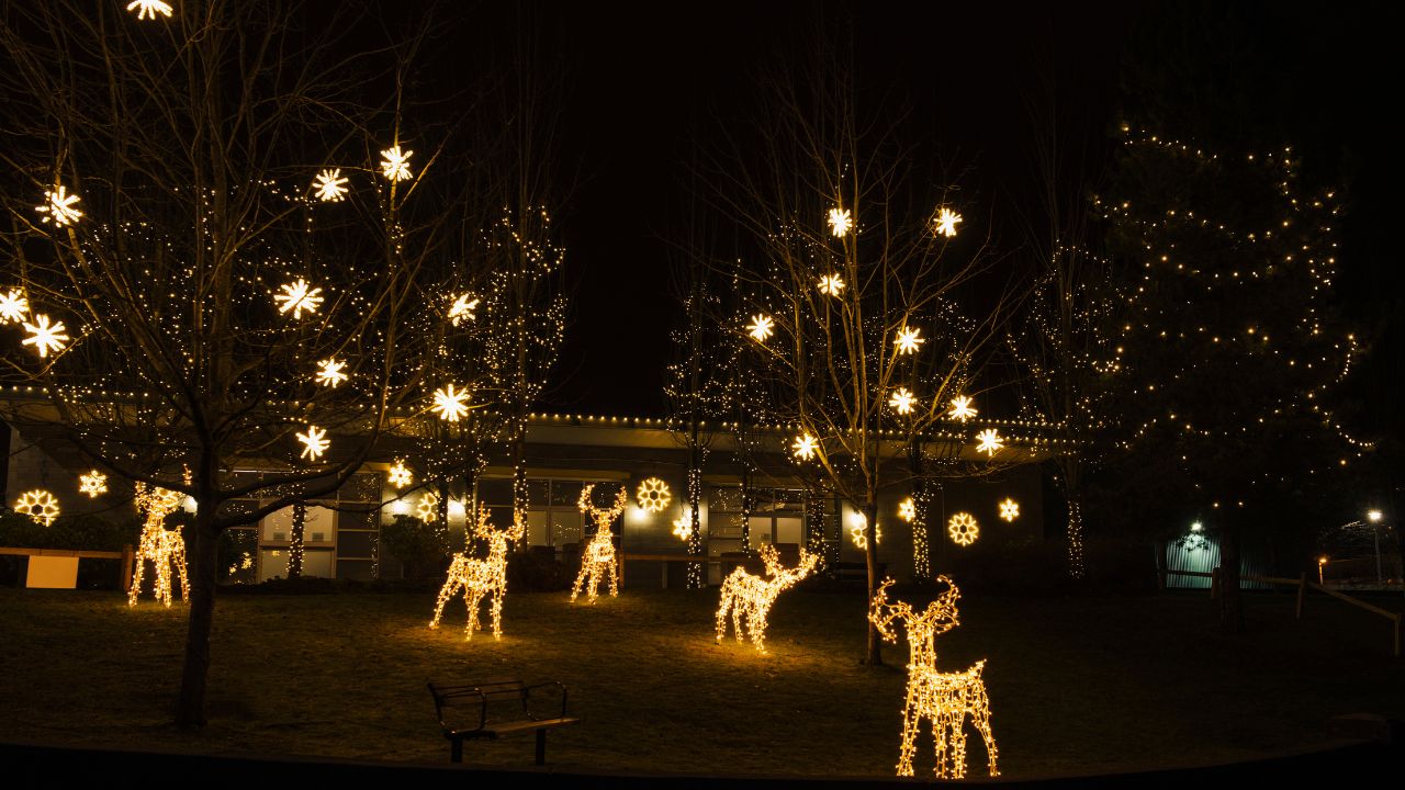 Christmas Light Installation Broomfield CO business image in Broomfield, COLORADO