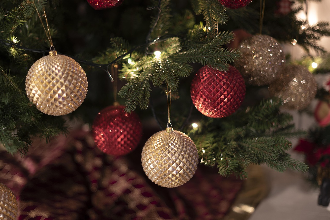 Holiday Light Installation San Antonio Tx business listing