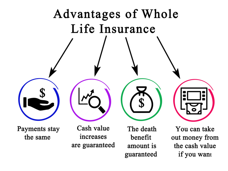 Albany Life Insurance Experts business image